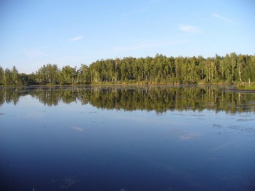 Подмосковье