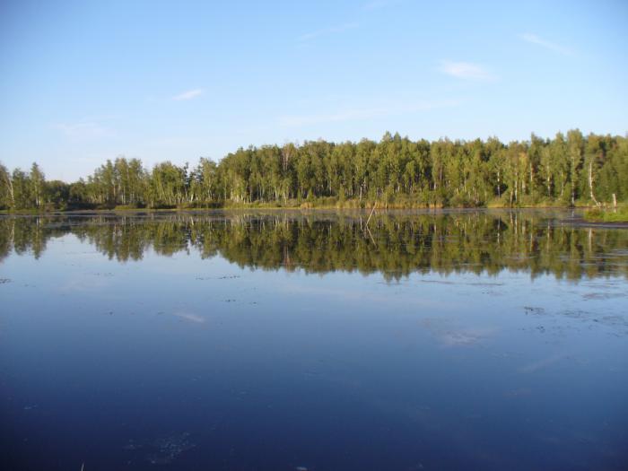 Подмосковье