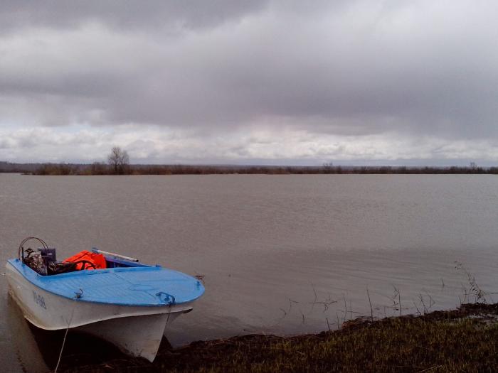 оз. Лебяжье. Вид на Ташару. Вода почти до Оби стоит.