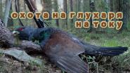 Весенняя охота на глухаря.