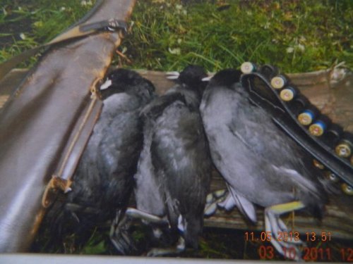 3 октября 2011 год