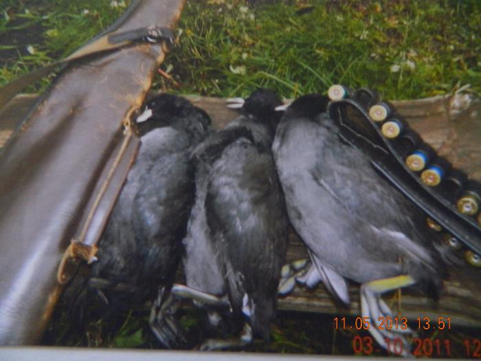 3 октября 2011 год