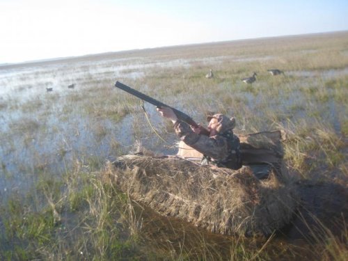 Наконец то дождался.
