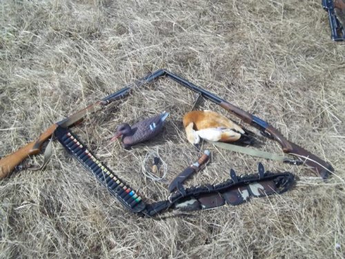 С полей..