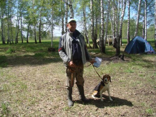 Испытания гончих ,Черепаново.