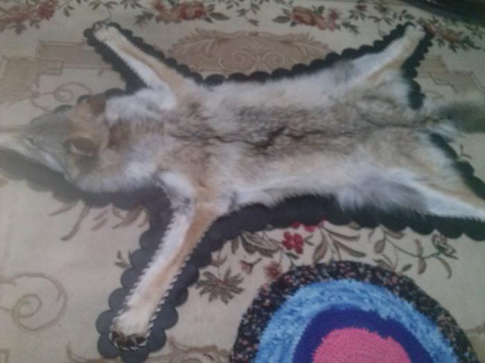 Волчек