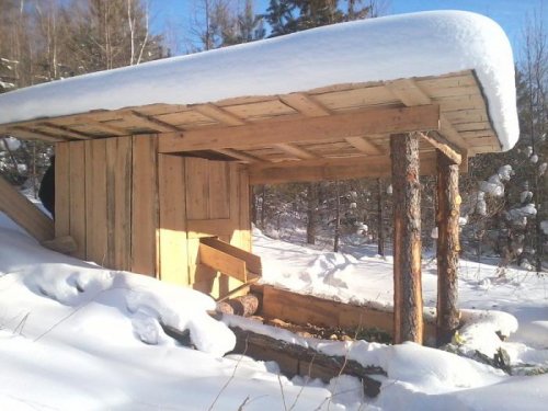 Подкормочный комплекс для кабана (кормушка с бункером для хранения кормов)