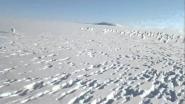 Табун зайцев,ВСЕМ смотреть)))