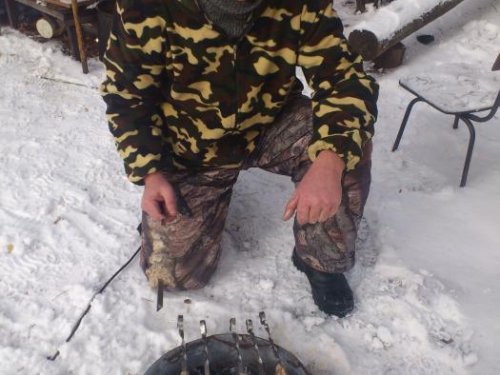 шашлычек из касульки