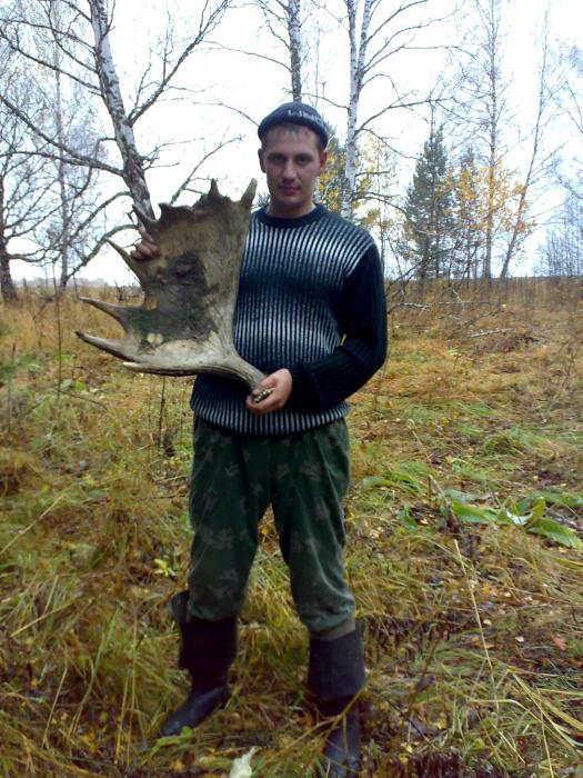 Подарок тайги!