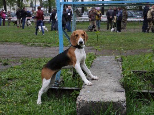 На выставке