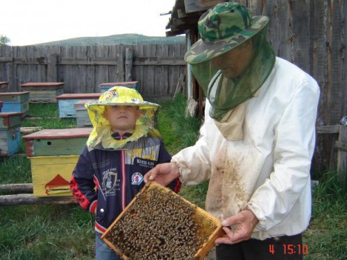 пчеловод