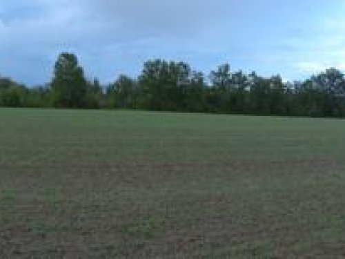 панорамка с прогулки