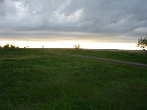 Перед грозой....