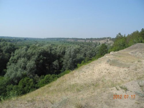 Рядом с пос. Лесниковским