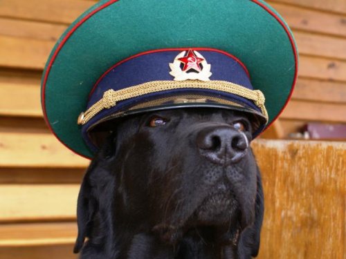 28 мая