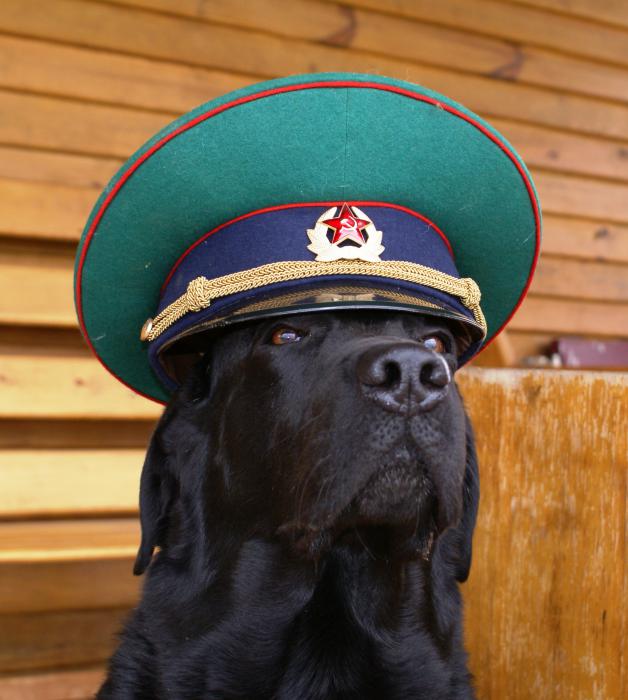 28 мая