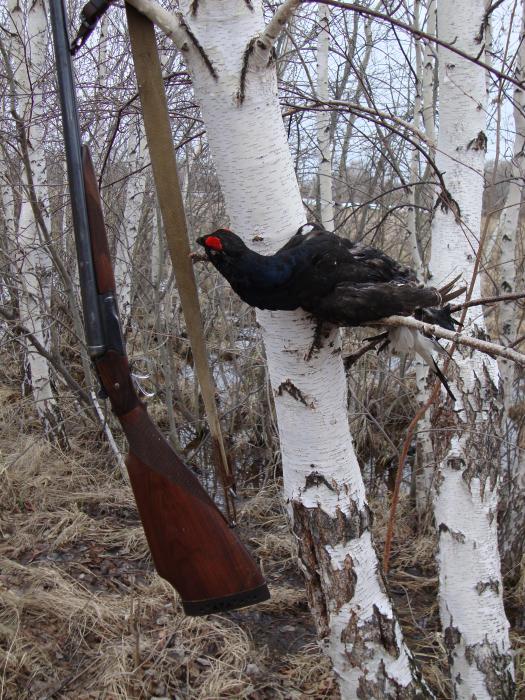 Березовый сок