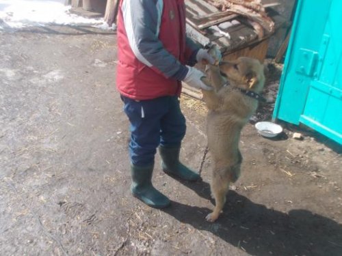 Вадик!Возьми меня пожалуйста в лес!Я хочу на охоту!