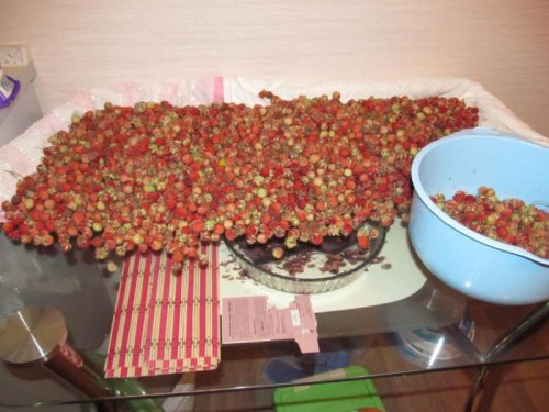 Клубника