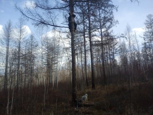 начинаем строиться.