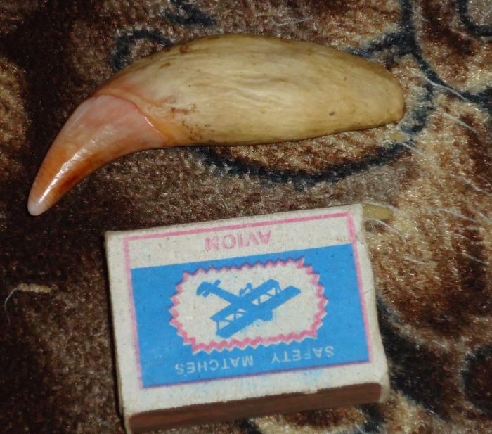 Зубик.