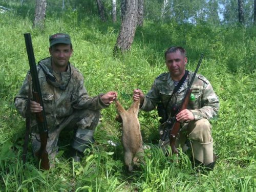На Новосибирской земле