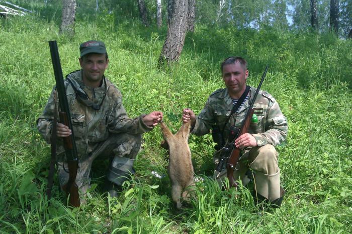 На Новосибирской земле