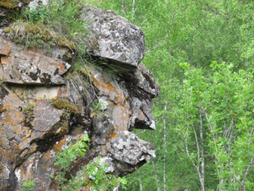 Чудище лесное
