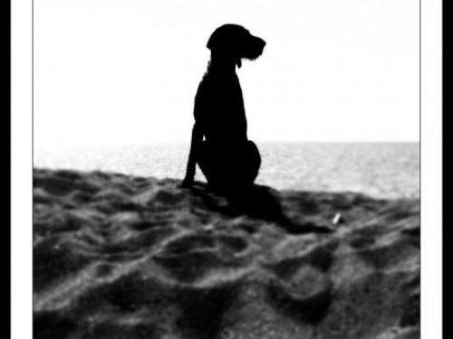 кто ты - - - - 