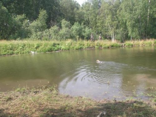 Родные места)