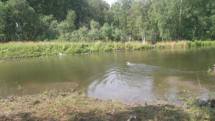 Родные места)