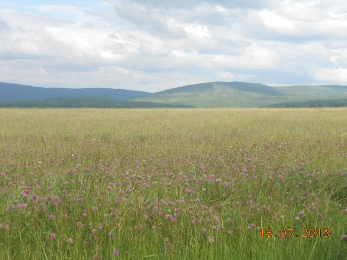 Забайкалье