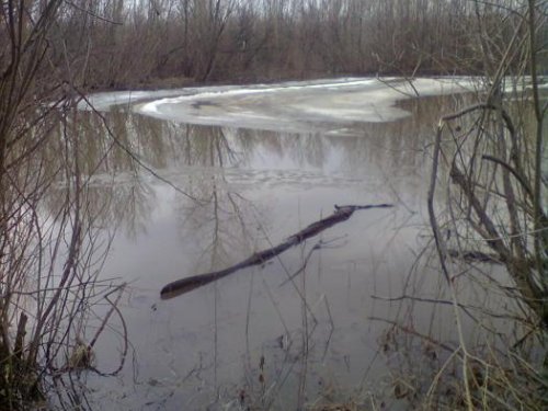 весна 2013   20 апреля
