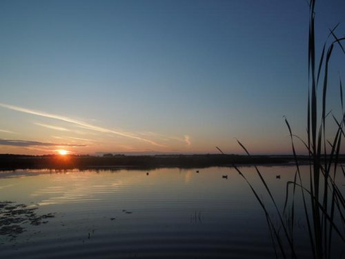 Зорька