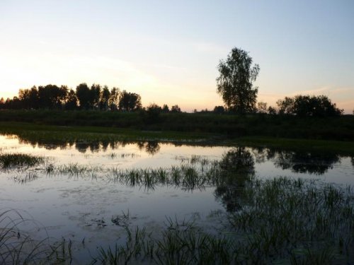 Фото к истории)))