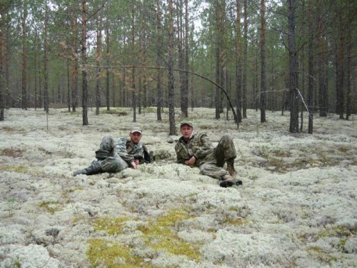 Ковёр.