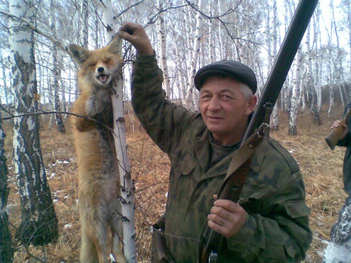 лиса