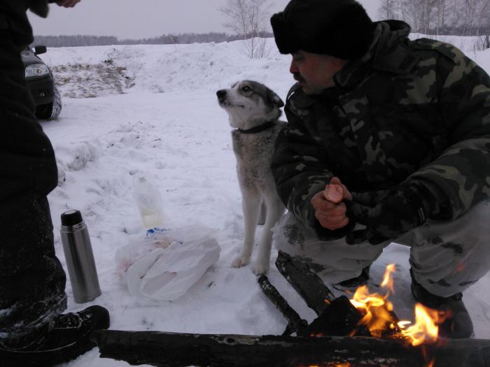 Настоящий охотничий друг