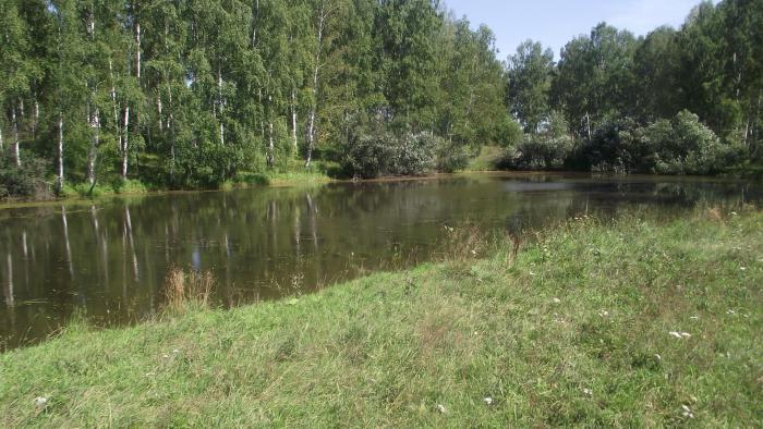 просто красиво.