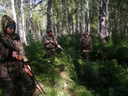 Процесс  ожидания выхода из нор барсука