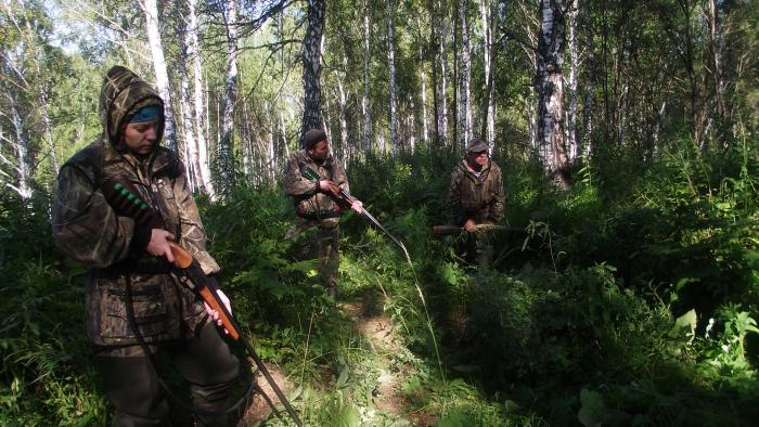 Процесс  ожидания выхода из нор барсука