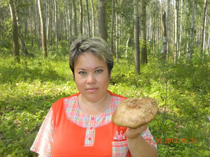 На фоне леса.