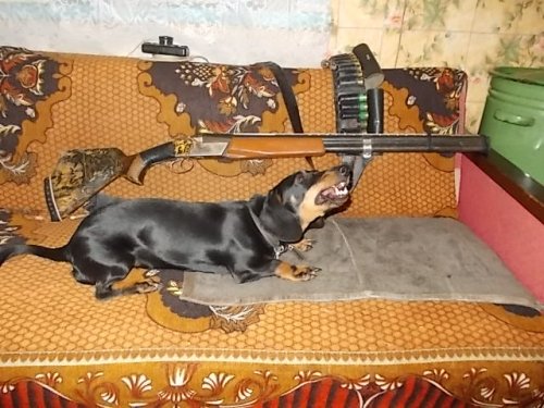 Сафи.