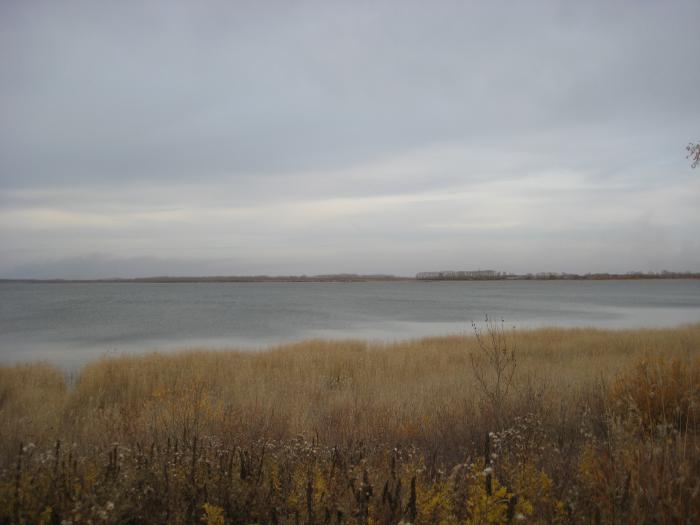 утренняя зорька