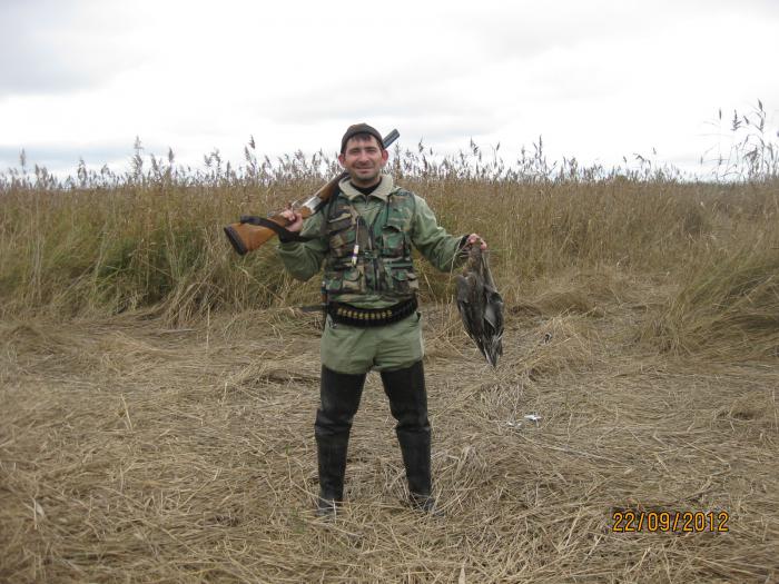Открытие 2012
