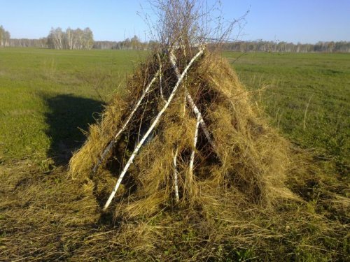 Шалашик на току