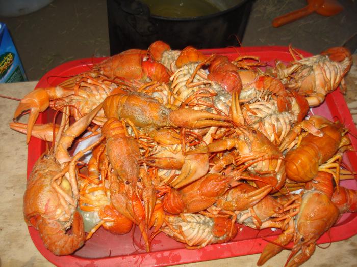 Раки
