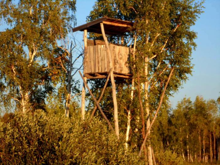Старая вышка.