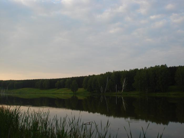 КРАСОТА.